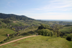 Blick von Schloß Staufenberg in die Weinlandschaft der Ortenau